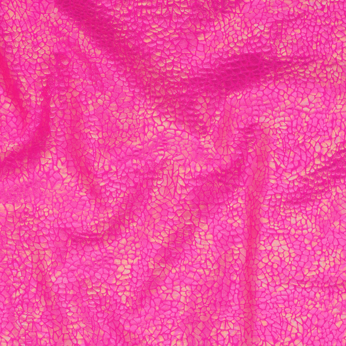 Radiant Gator | 4-Way Custom Designer Prism Flex | Spandex Palace