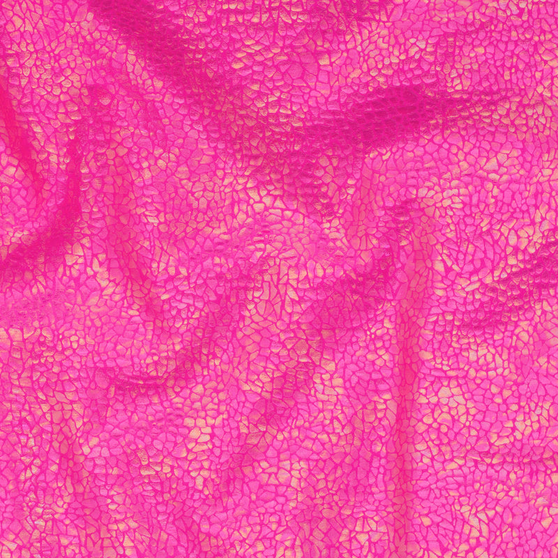 Radiant Gator | 4-Way Custom Designer Prism Flex | Spandex Palace
