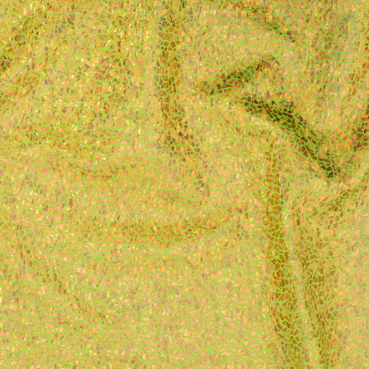 Radiant Gator | 4-Way Custom Designer Prism Flex | Spandex Palace