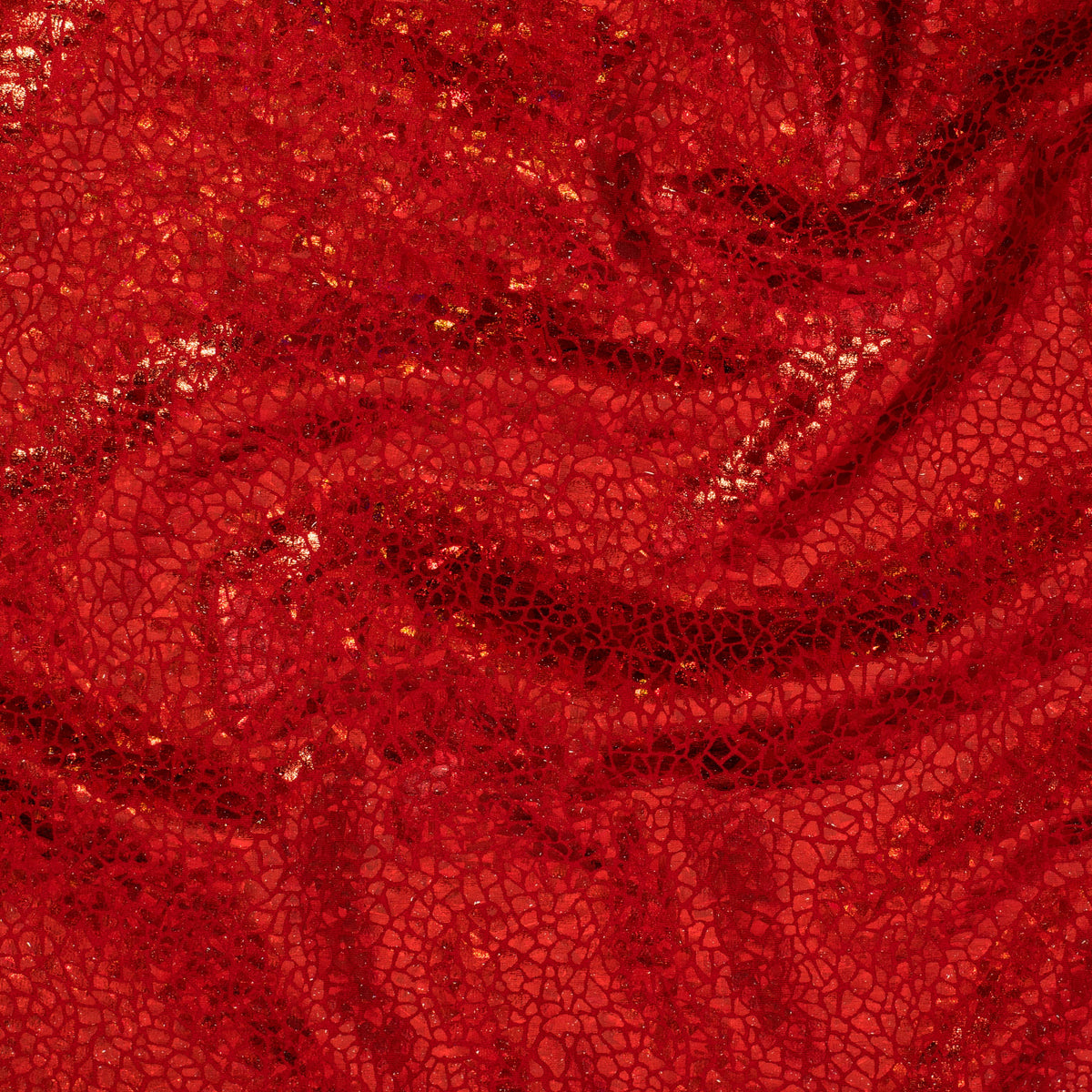 Radiant Gator | 4-Way Custom Designer Prism Flex | Spandex Palace