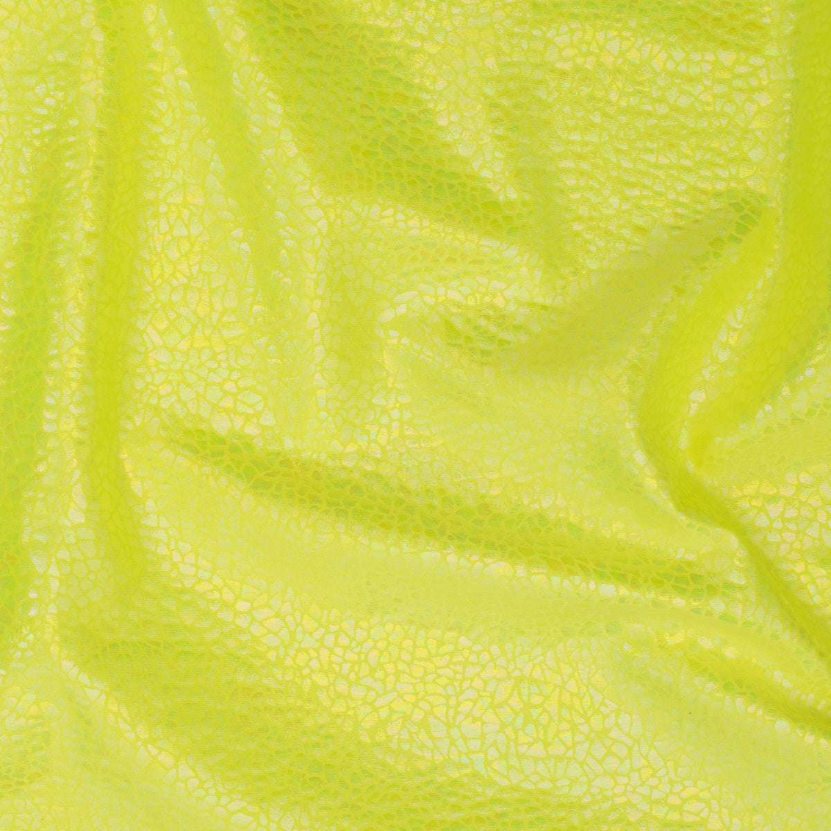 Radiant Gator | 4-Way Custom Designer Prism Flex | Spandex Palace