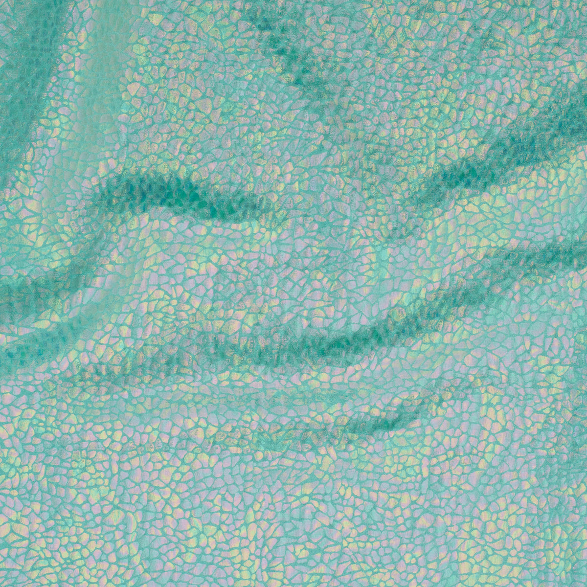 Radiant Gator | 4-Way Custom Designer Prism Flex | Spandex Palace