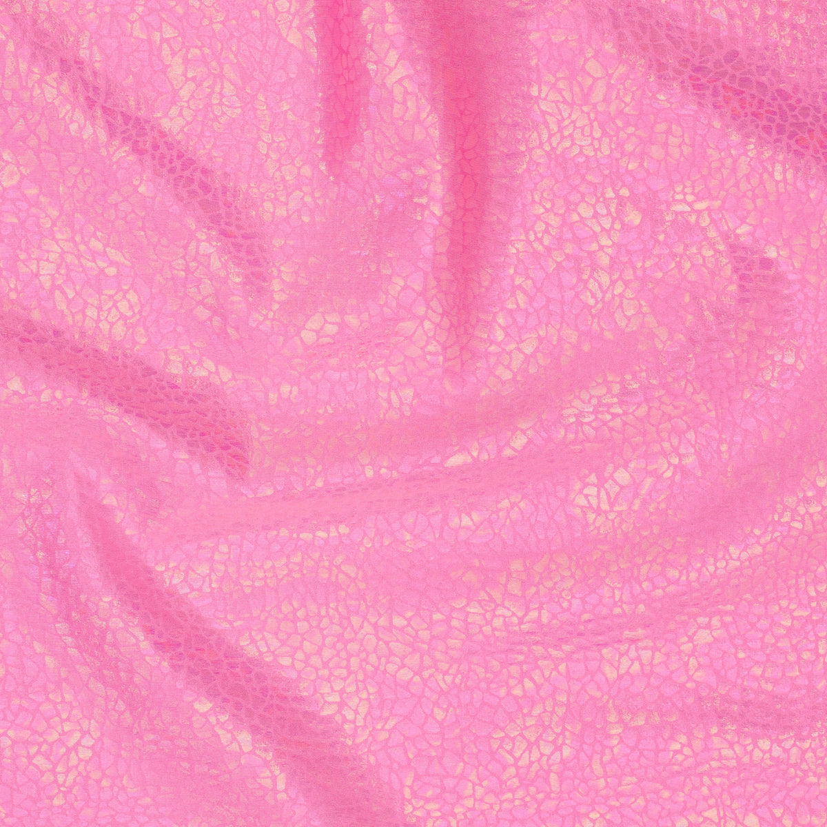 Radiant Gator | 4-Way Custom Designer Prism Flex | Spandex Palace
