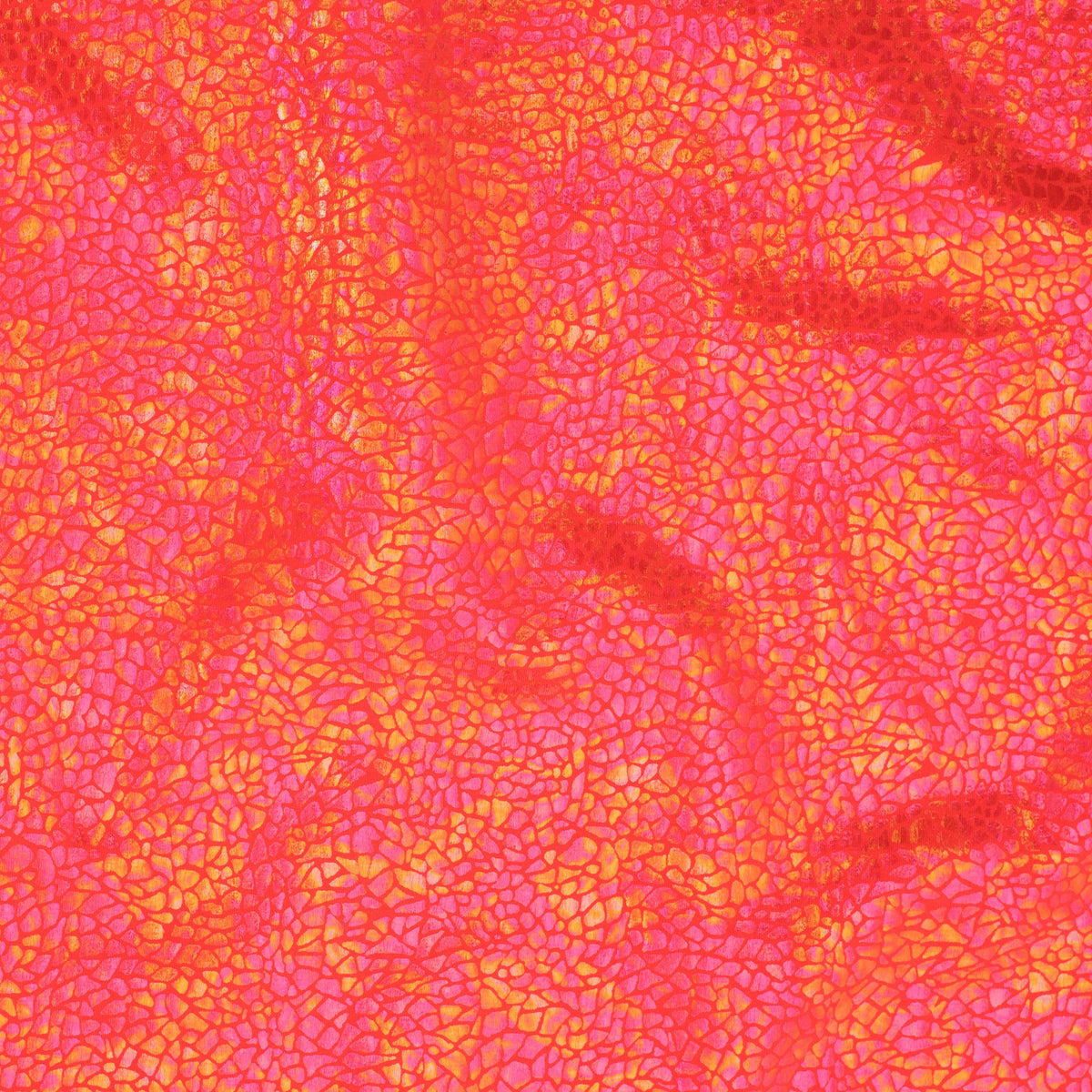 Radiant Gator | 4-Way Custom Designer Prism Flex | Spandex Palace