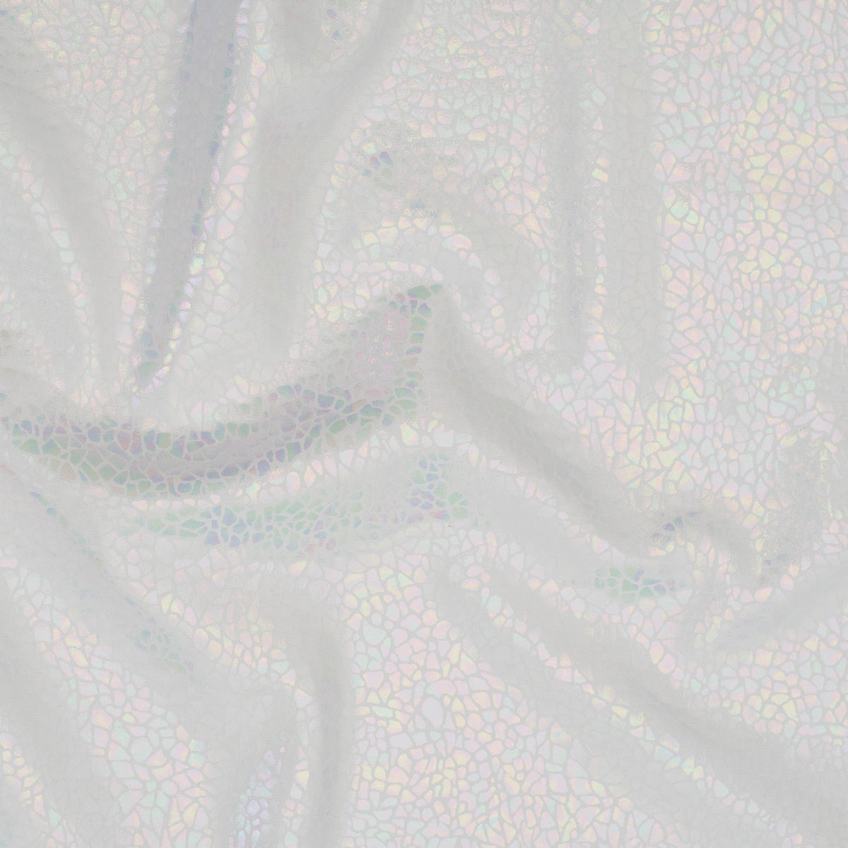 Radiant Gator | 4-Way Custom Designer Prism Flex | Spandex Palace