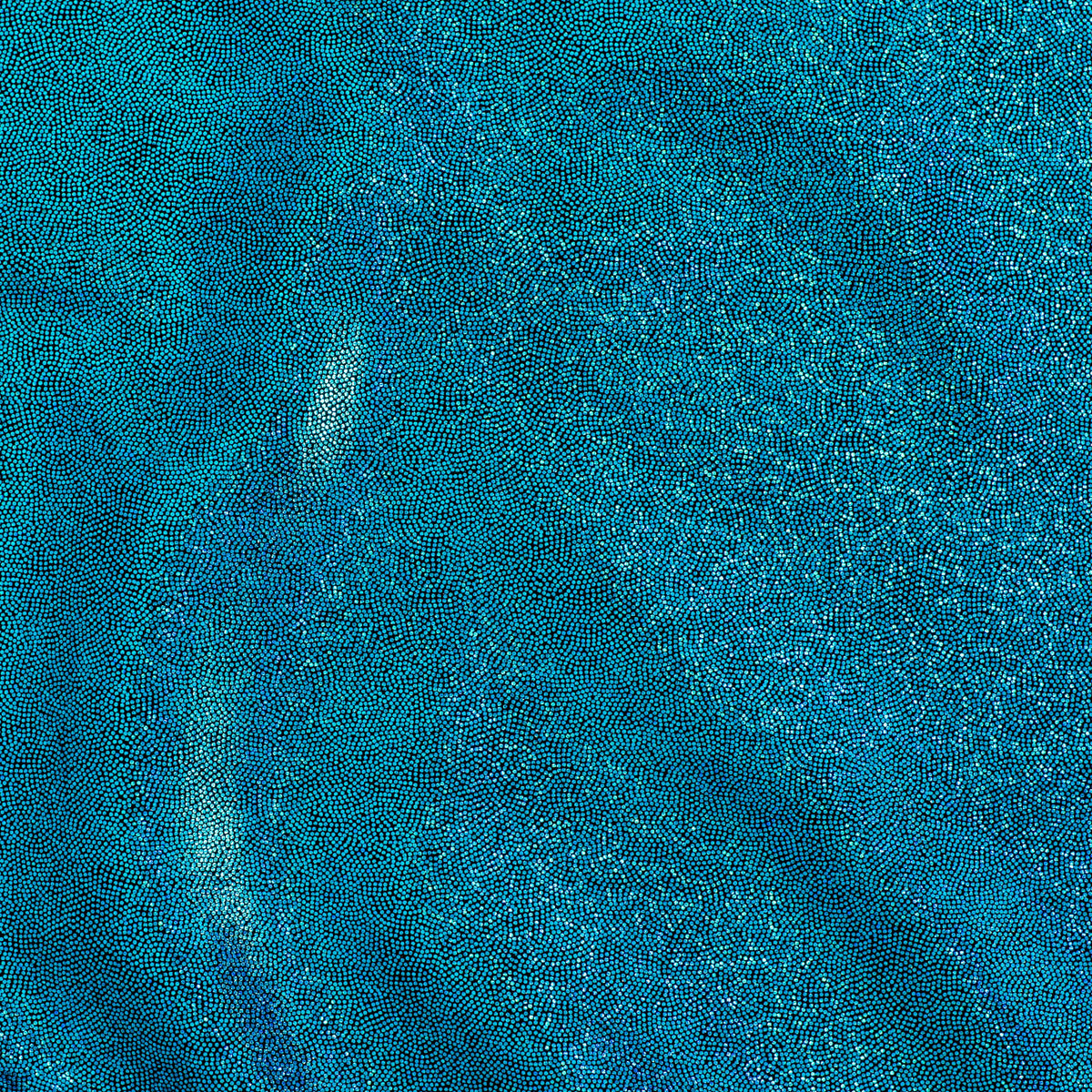 Hologram Foggy Foil 4 Way Stretch Nylon Spandex Fabric| Spandex Palace
