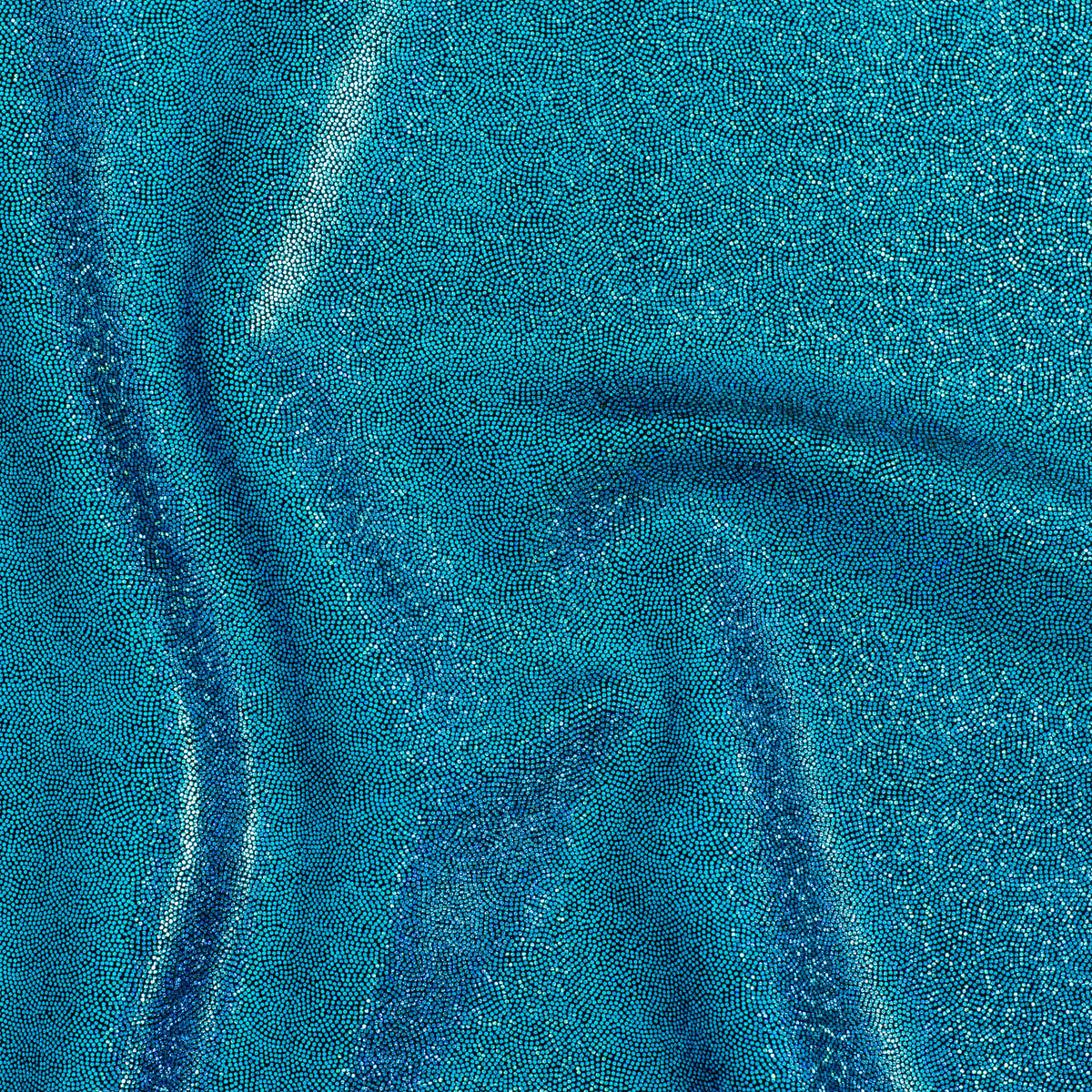Hologram Foggy Foil 4 Way Stretch Nylon Spandex Fabric| Spandex Palace