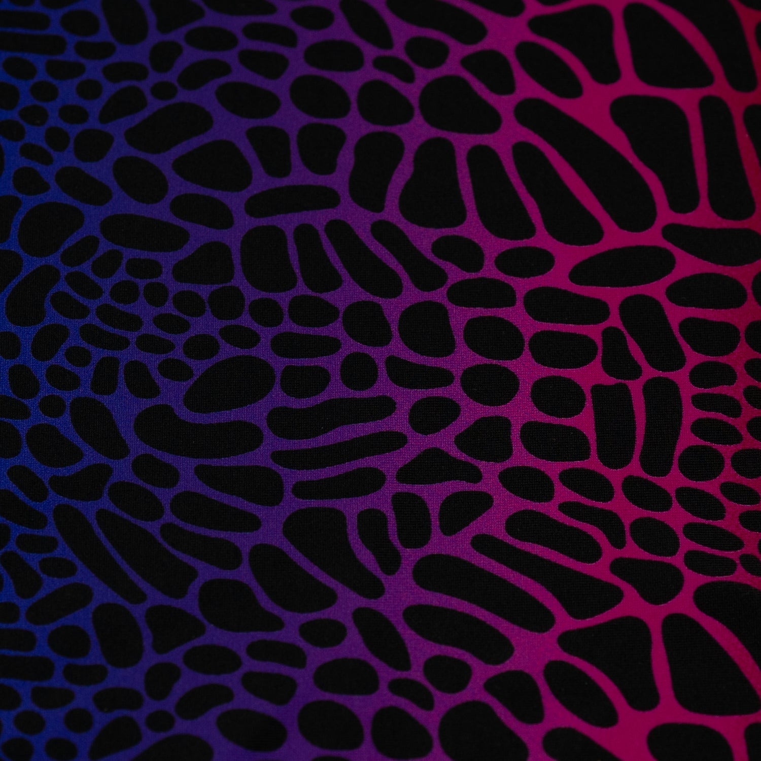 Multicolor Safari Spots Printed Spandex Fabric | Blue Moon Fabrics