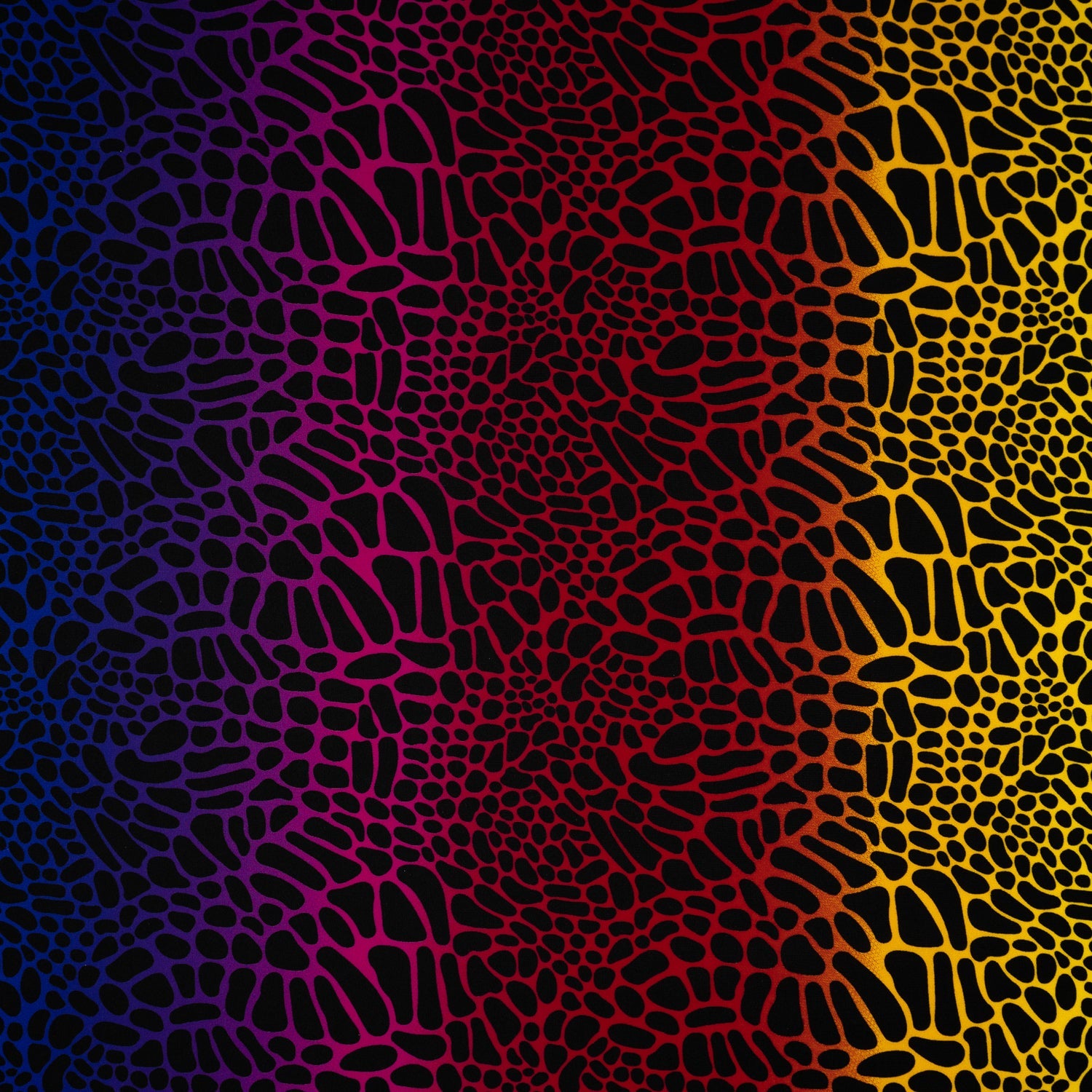 Multicolor Safari Spots Printed Spandex Fabric | Blue Moon Fabrics