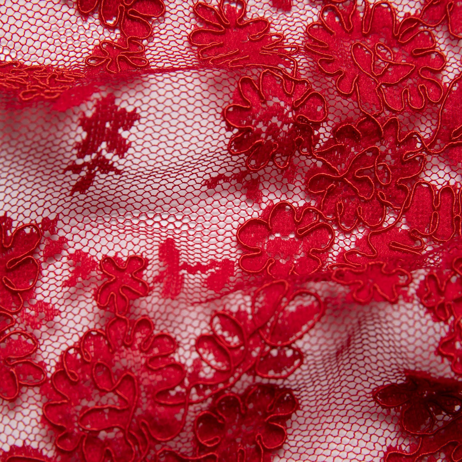 Re-Embroidered Lace Fabric with Cord and Extravagant Floral Design | Exquisite Fabric
