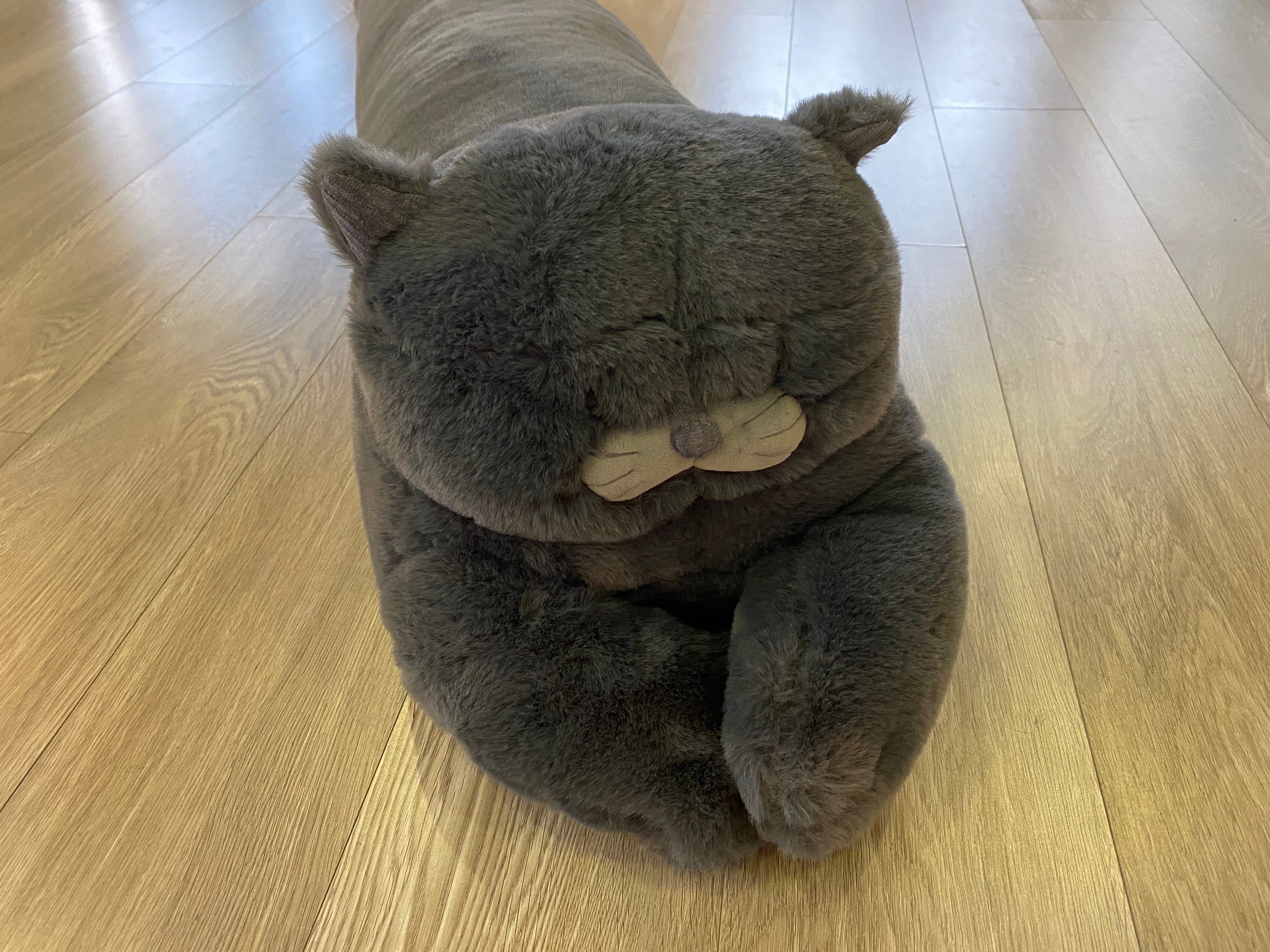 Cat Pillow