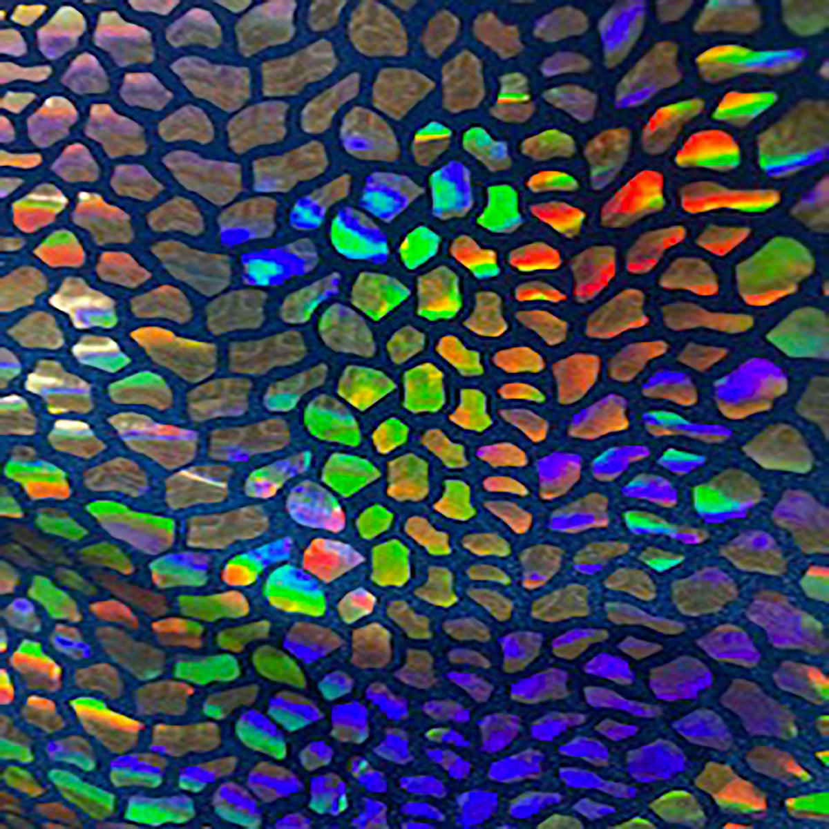 Stretch Nylon Spandex Fabric with Cobra Hologram Glued Sequin | Spandex Palace